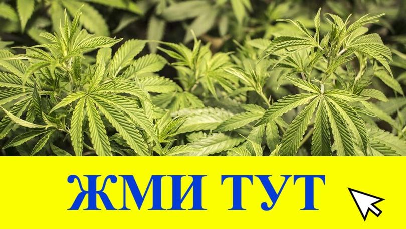 Купить наркотики в Тавде